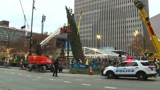 Cincinnati's iconic Christmas tree returns to Fountain Square