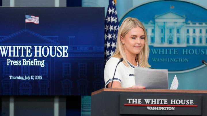 ICE detains relative of White House press secretary Karoline Leavitt, reports say