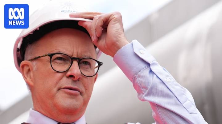 Government considers dramatic intervention to save Tomago smelter