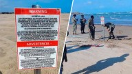 Retiran letreros de Playa Bagdad que advertían el área era restringida y se prohibía el paso