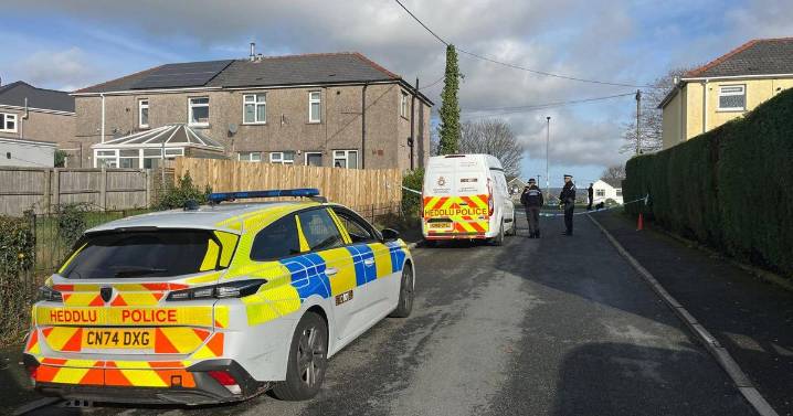 Girl, 17, stabbed to death and mother injured in horror attack