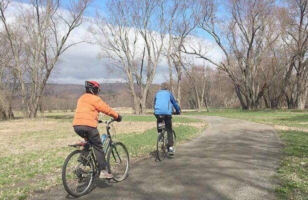 Ulster County event guide for 11/20