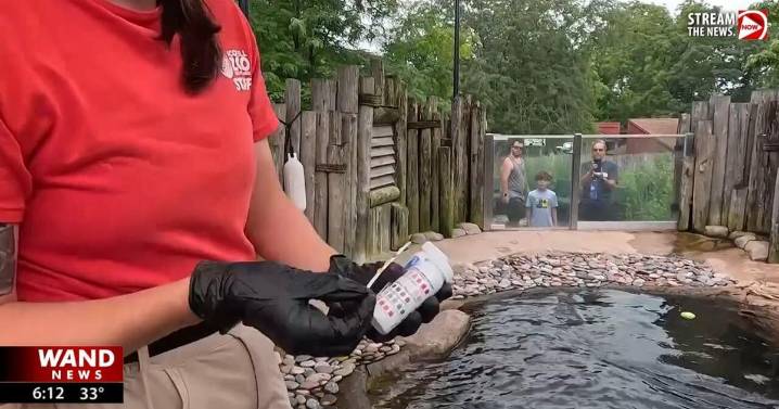 STEM Minute | The journey water takes from rain to your faucet