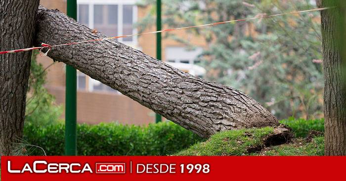 La borrasca 'Claudia' activa este jueves aviso amarillo en la provincia de Toledo por viento