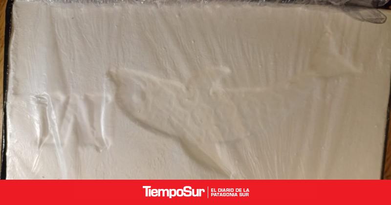 Golpe al narcotráfico En lo que va del año Gendarmería secuestró más de 40 kilos de droga