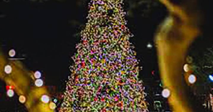 Mesa ready to open the Christmas season