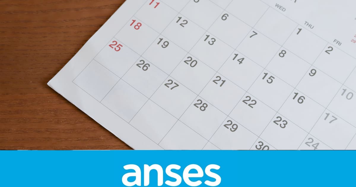Calendario de pagos ANSES completo: cuándo cobran los jubilados, pensionados, AUH y SUAF en diciembre
