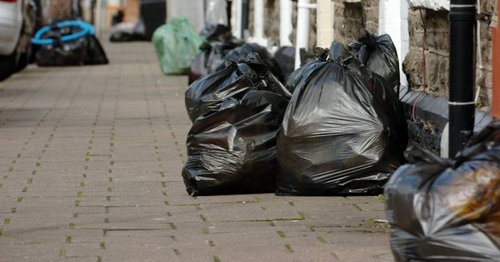 Concerns over 'bin snooping' councils