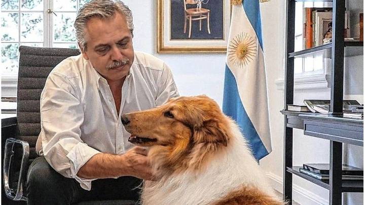 Murió Dylan, el perro de Alberto Fernández