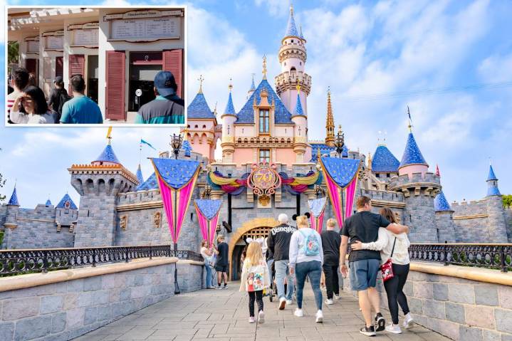 Disneyland slashes ticket prices by 50% for lucky few