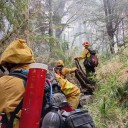 Diputados aplazan el tratamiento de la Ley de Manejo del Fuego para incorporar aportes
