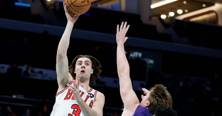 Bulls hang on to beat Hornets to snap 7