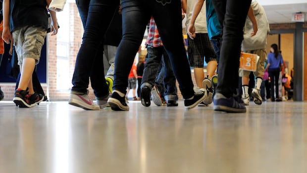 Several Edmonton-area schools coping with respiratory illness outbreaks