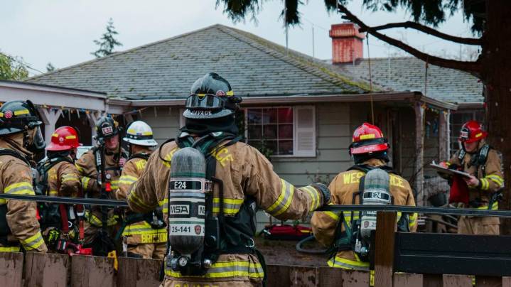 13 pets killed in University Place house fire