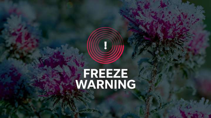 Freeze warning issued for Pima County