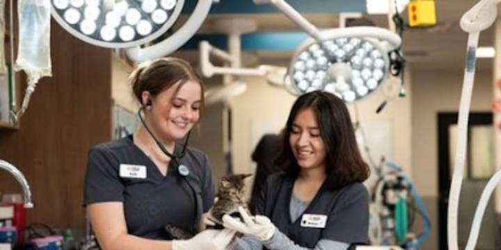 Arizona Humane Society to offer after‑hours pet care at Phoenix location