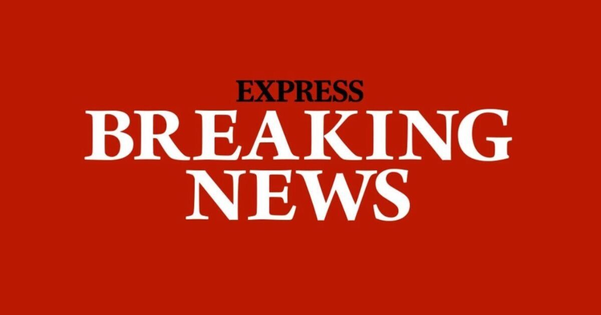 BBC antiques expert rushed to hospital after horror fall in forest 