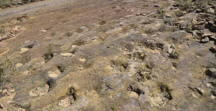 World’s Largest Dinosaur Tracks Site Found in Bolivia