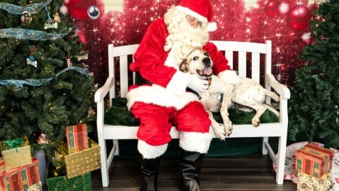 Santa is coming to PetSmart near you. Where to get free photos in GA