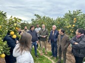 AGRISME II impulsa la digitalización de las pymes agrícolas con soluciones accesibles