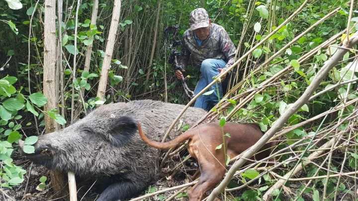 Cazadores barceloneses alertan que, en Collserola, su trabajo es “de todo menos idílico”