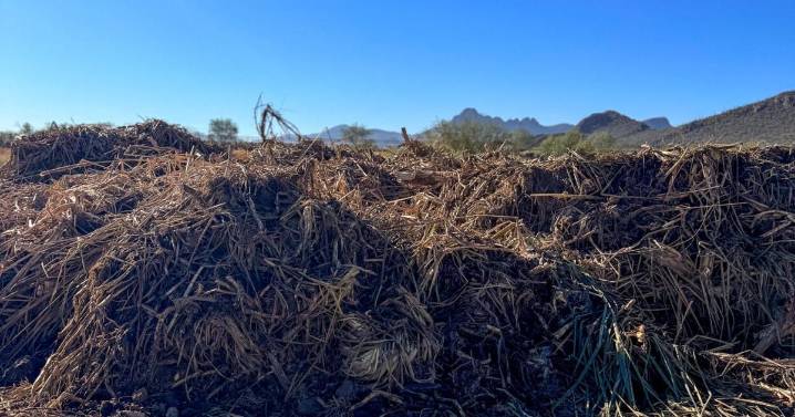 Rain delays El Rio Preserve project in Marana