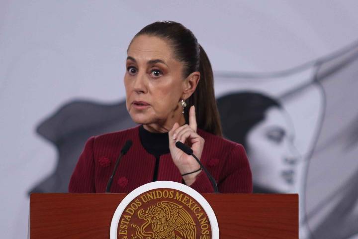 México acelera acciones para combatir plaga del gusano barrenador; se habló de ello con Trump: Sheinbaum