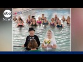 The sweet story behind a senior couple's pool wedding