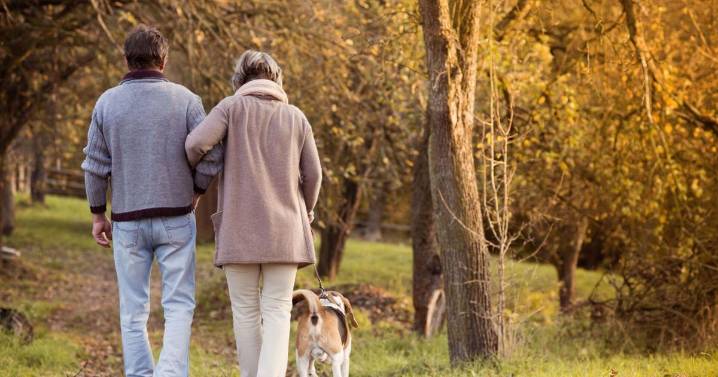 Decatur Park District, Lindsey Communities announce adult day services coming in 2026