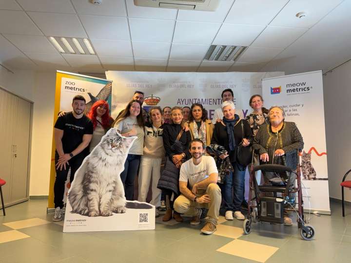 Olías del Rey digitaliza sus colonias felinas con una gestión "pionera" en bienestar animal