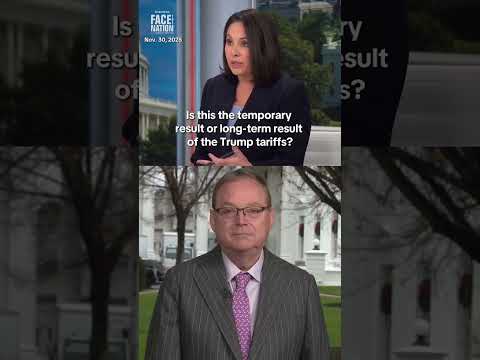 White House economic adviser on Americans' spending this holiday season #shorts