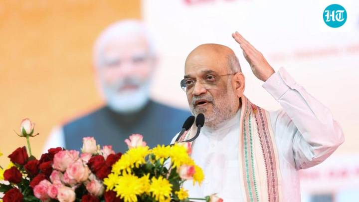 NDA will win big in Bengal, TN, people rejected Congress across country: Amit Shah