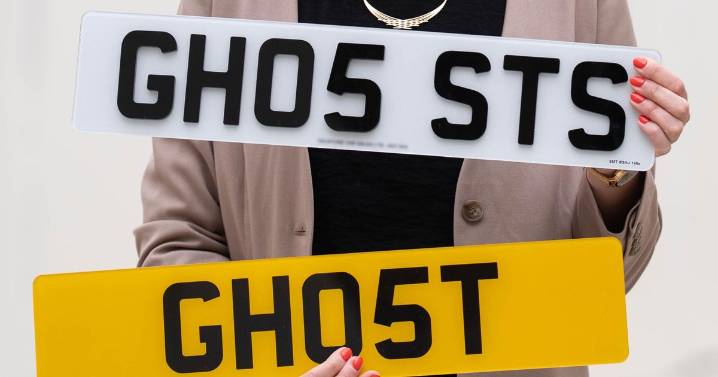 One in 15 drivers avoiding cameras with 'leaves, pens and cellophane'