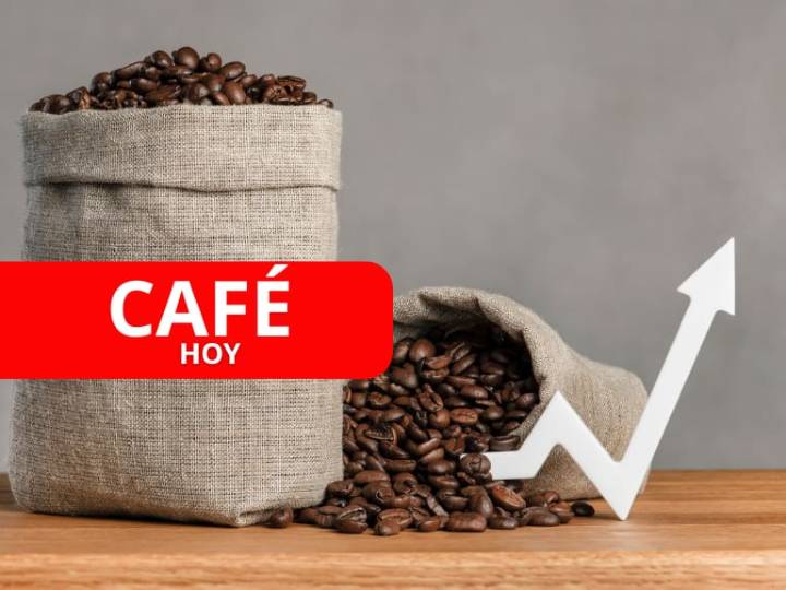 ¡Gran subida! Precio del café para HOY, 1 de diciembre, según el cierre de la Bolsa de Nueva York