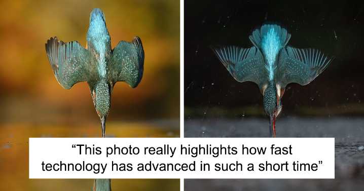 Photographer Takes 720,000 Photos To Capture A Kingfisher Dive, And 10 Years Later, Does It In Minutes