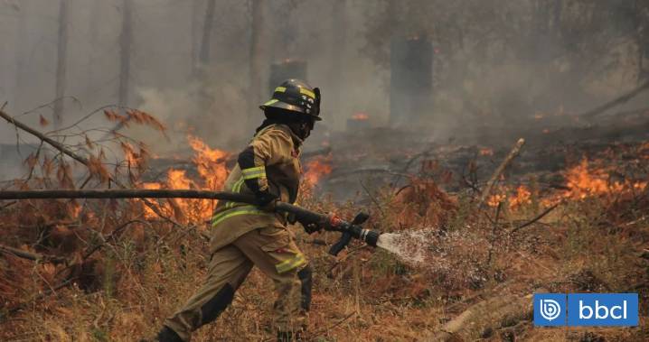 Con nueva estrategia: aumenta a más del doble los recursos para el combate de incendios forestales