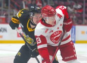 Sarnia Sting go winless on another road trip