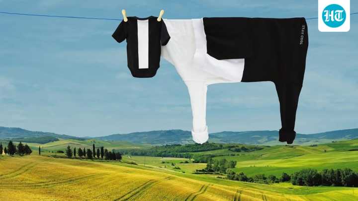 12 pics show London artist turning simple laundry into playful animal illusions