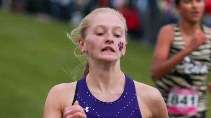 See who made the 2025 All-Area Girls Cross Country Team