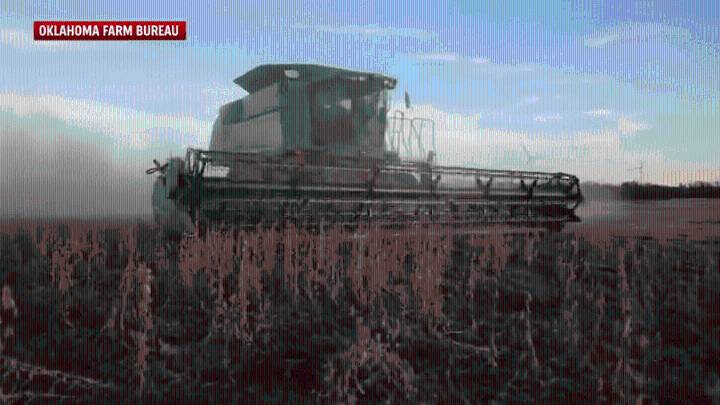 Oklahoma farmers react to news of aid payment for struggling industry