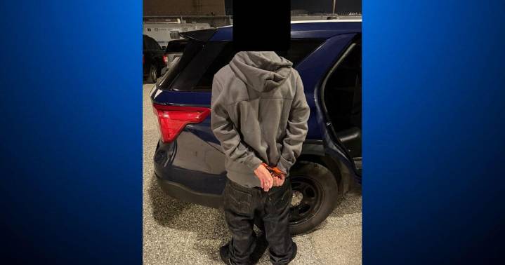 San Jose police announce arrest in Black Friday triple-shooting at Valley Fair mall