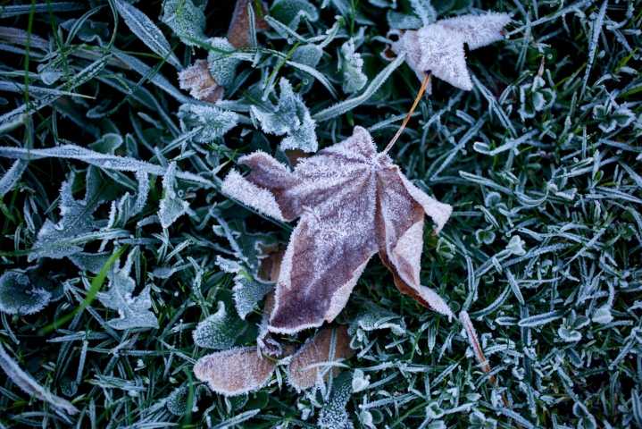 As December begins, Portland gets its first (quick) freeze of the season
