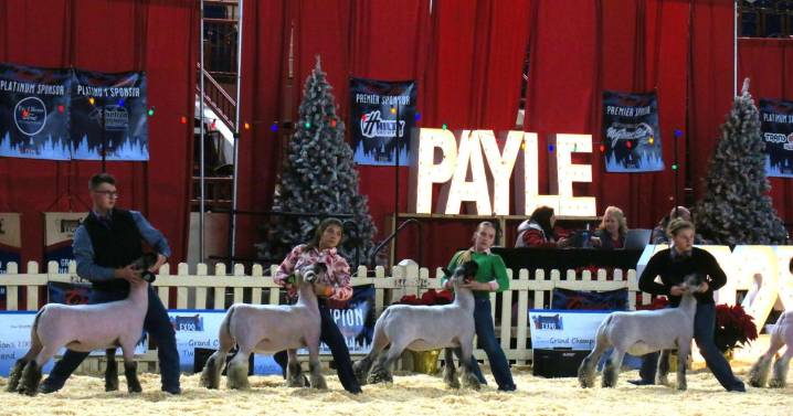 Exhibitors Show Their Connection to Animals at Pennsylvania Youth Livestock Expo