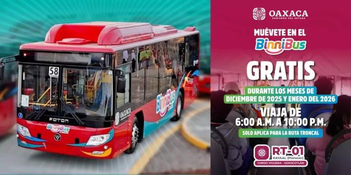 Binnibus anuncia viaje gratuito durante diciembre en ruta troncal RT