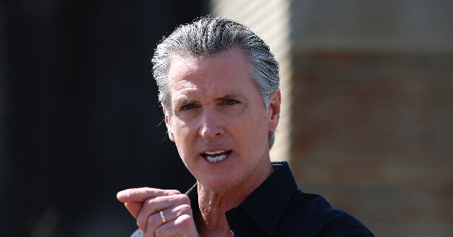 Gavin Newsom Lashes Out After Halle Berry Saying He 'Should Not Be the Next President’