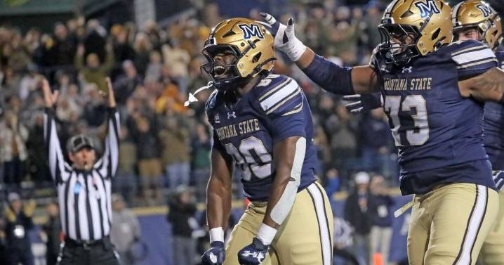 Recap: Turnovers spark Montana State in FCS quarterfinal win over Stephen F. Austin