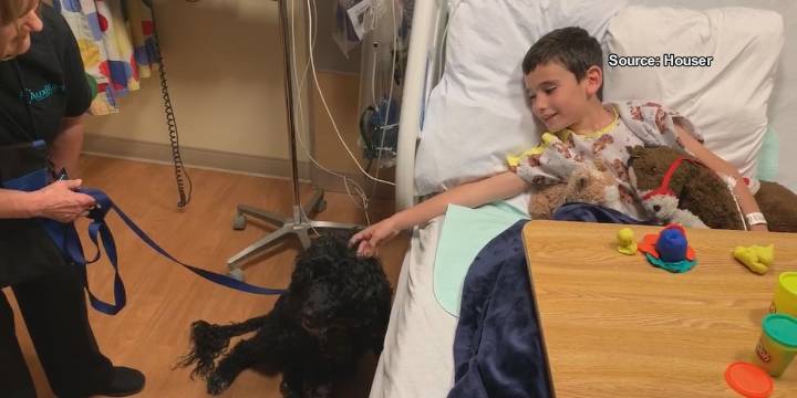 Federal cuts leave many Arizona special education students without oversight