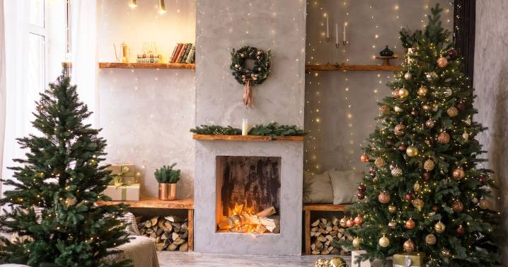 ¿Pino natural o artificial? conoce el impacto ambiental ventajas y desventajas de árboles naturales y artificiales, cuántos años debes reutilizar un pino artificial para que sea ecológico y cómo elegi