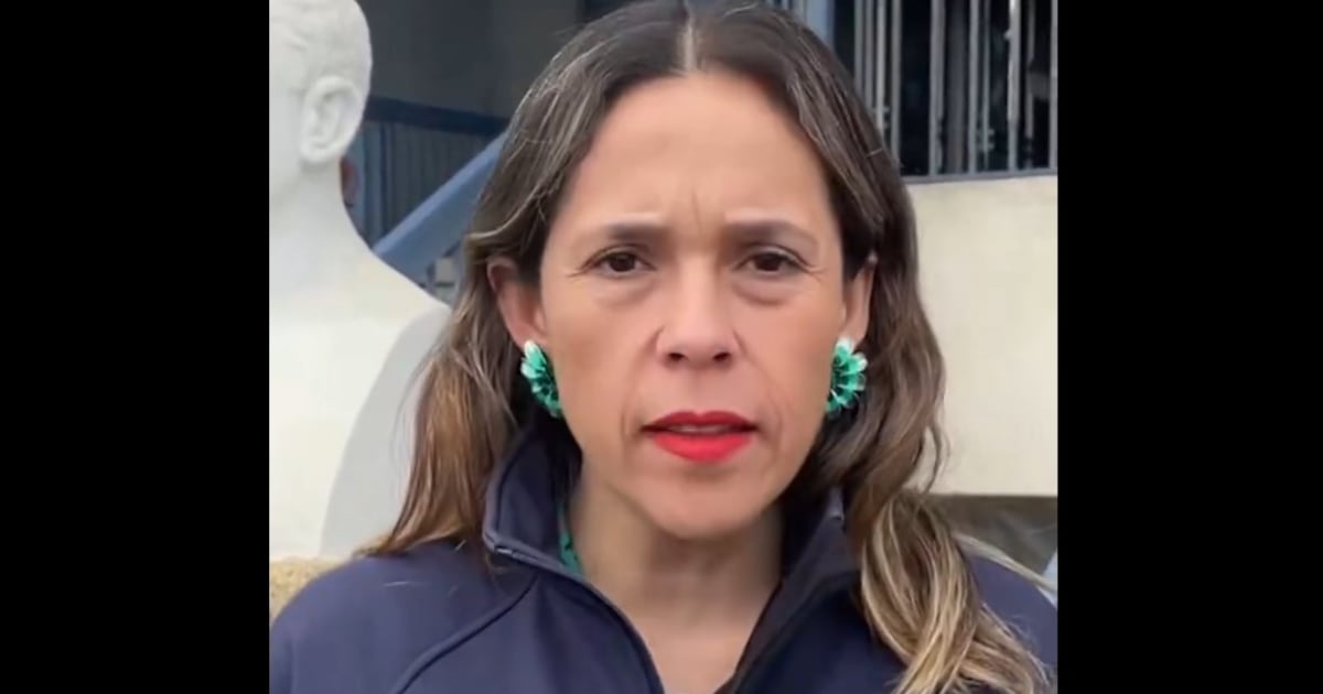 Caso Sol Millakura: Renuncia seremi de Salud Lorena Cofré, acusada de maltrato laboral y discriminación