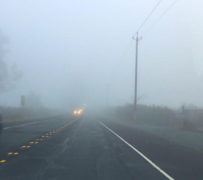 Dense Fog Advisory Issued For North Bay, East Bay